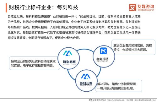 2021上半年中國(guó)財(cái)稅類企業(yè)服務(wù)專題研究報(bào)告 數(shù)字化浪潮下的機(jī)遇與挑戰(zhàn)